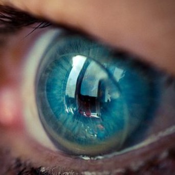 lentilles de contact